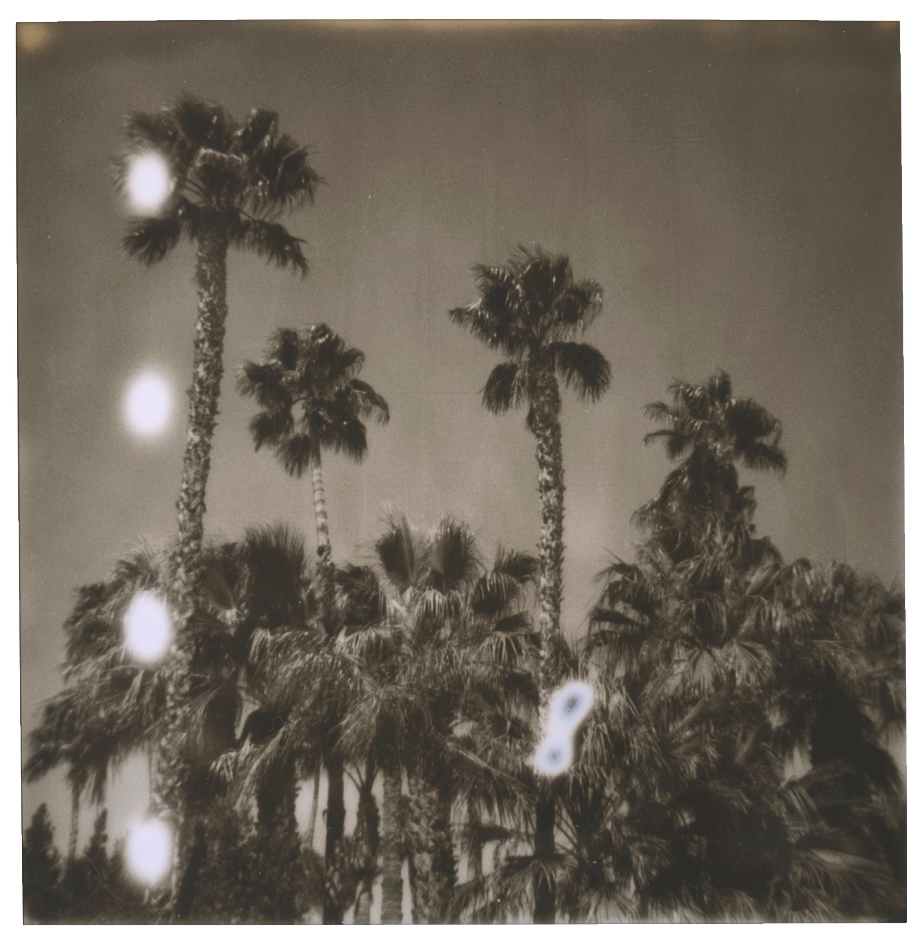 Color Photograph Stefanie Schneider - Palm Springs Palm Trees (Californication) - Polaroïd