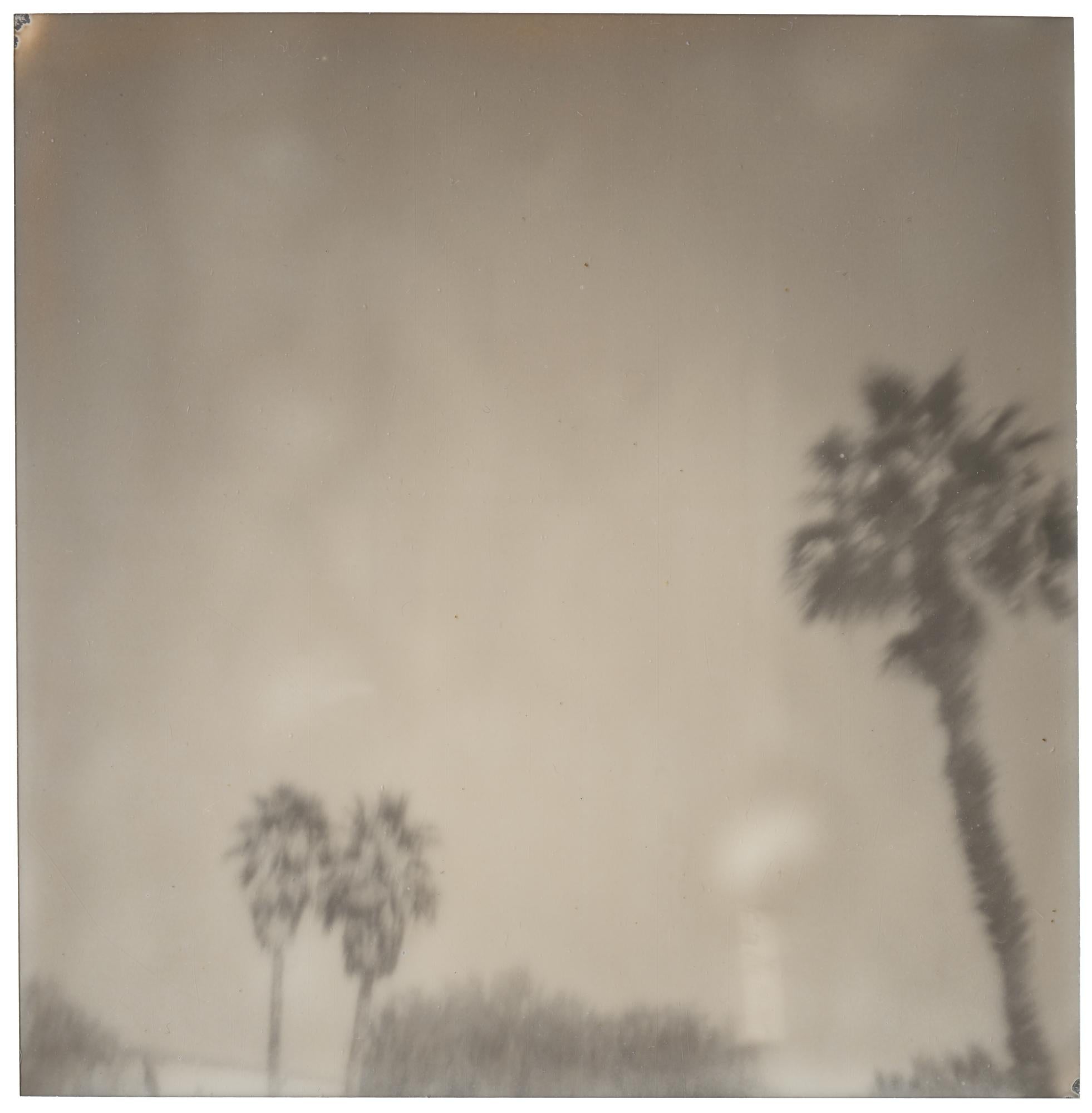 Stefanie Schneider Landscape Photograph – Palm Springs Palmen (Kalifornien) – Polaroid