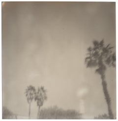 Palm Springs Palmen (Kalifornien) – Polaroid