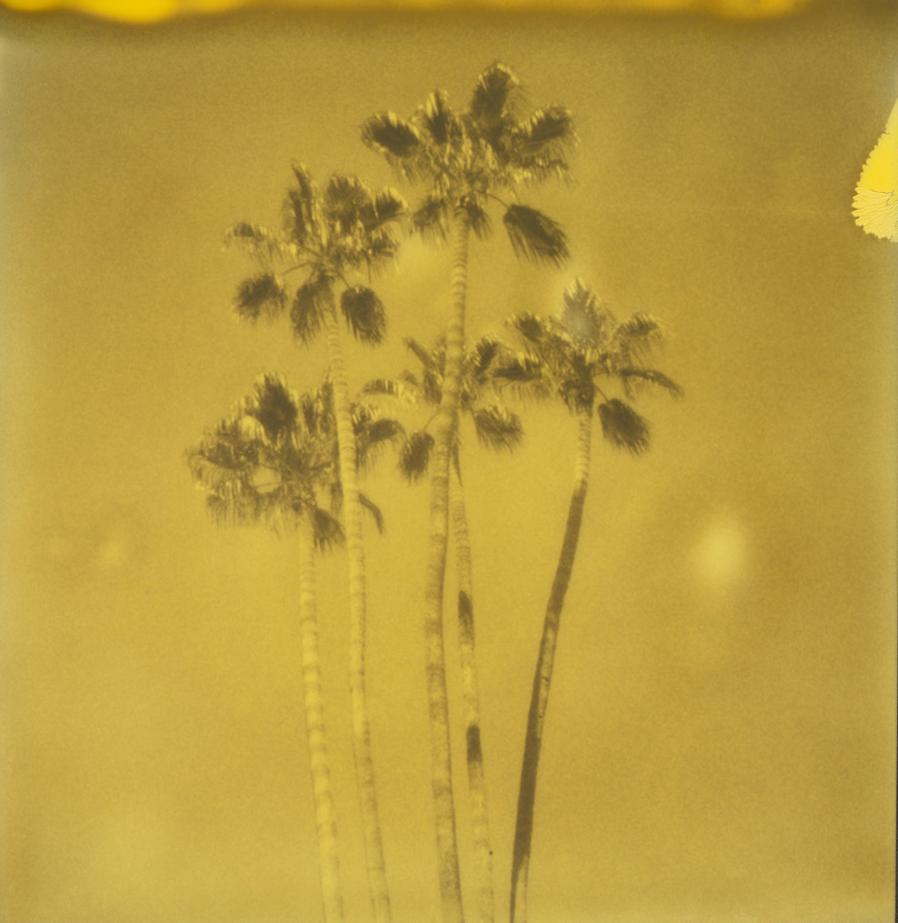 Stefanie Schneider Landscape Photograph - Palm Springs Palm Trees IX (Californication) - Polaroid, Contemporary, Color