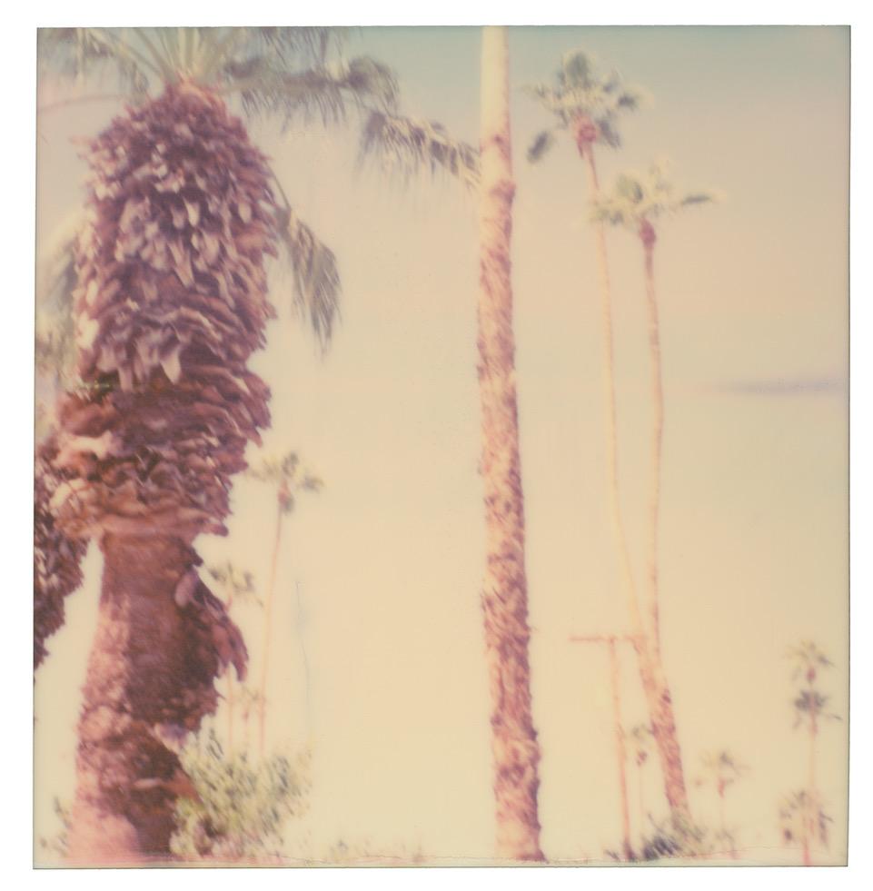 Color Photograph Stefanie Schneider - Palm Springs Palm Trees VI (Californication) - Polaroid, contemporain, couleur