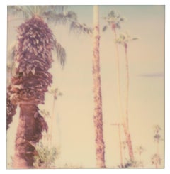 Palm Springs Palm Trees VI (Californication) - Polaroid, Contemporary, Color