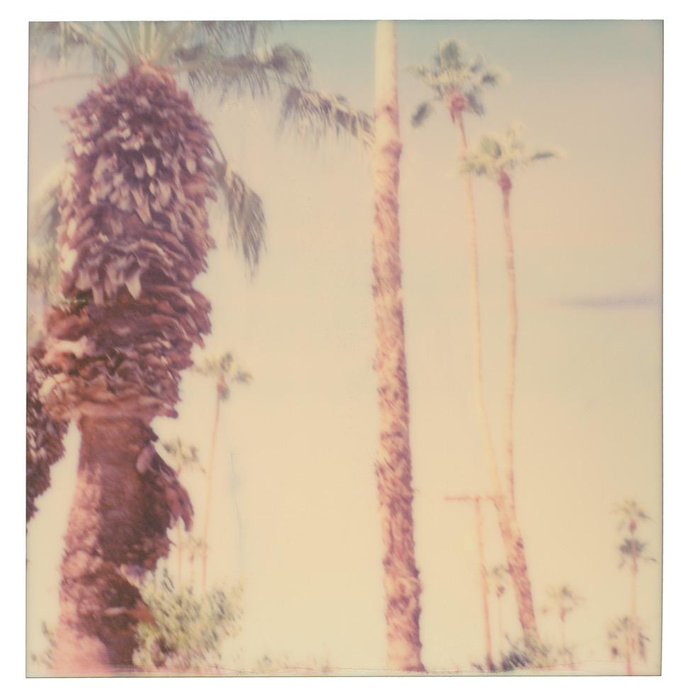 Landscape Photograph Stefanie Schneider - Palm Springs Palm Trees VI (Californication) - Polaroid, contemporain, couleur
