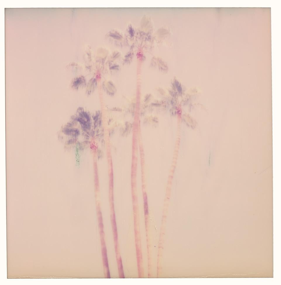 Color Photograph Stefanie Schneider - Palm Springs Palm Trees VII (Californication) - Polaroid, contemporain, couleur