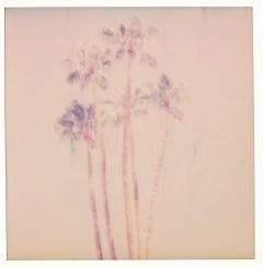 Palm Springs Palm Trees VII (Kalifornien) – Polaroid, Zeitgenössisch, Farbe
