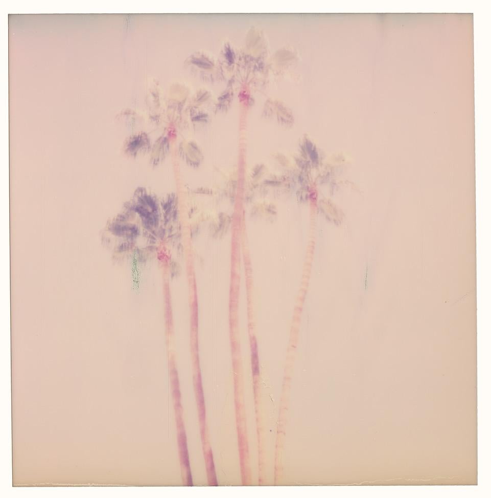 Palm Springs Palm Trees VII (Californication) - Polaroid, Contemporary, Color