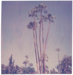 Palm Springs Palm Trees XI (Californication) - Polaroid, Contemporary, Farbe