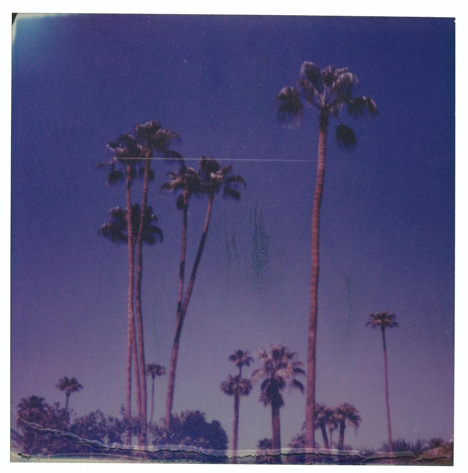 Stefanie Schneider Landscape Photograph – Palm Springs Palm Trees XII (Californication) - Polaroid, Contemporary, Farbe