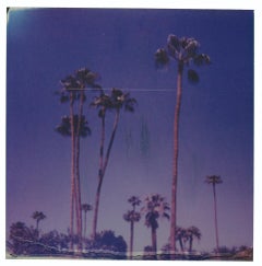 Palm Springs Palm Trees XII (Californication) - Polaroid, Contemporary, Farbe