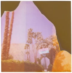 Palm Springs Wabi-Sabi (Californication) - Polaroid, vintage, contemporary
