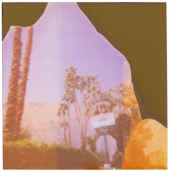 Palm Springs Wabi-Sabi (Contemporary) - Polaroid, vintage, contemporain