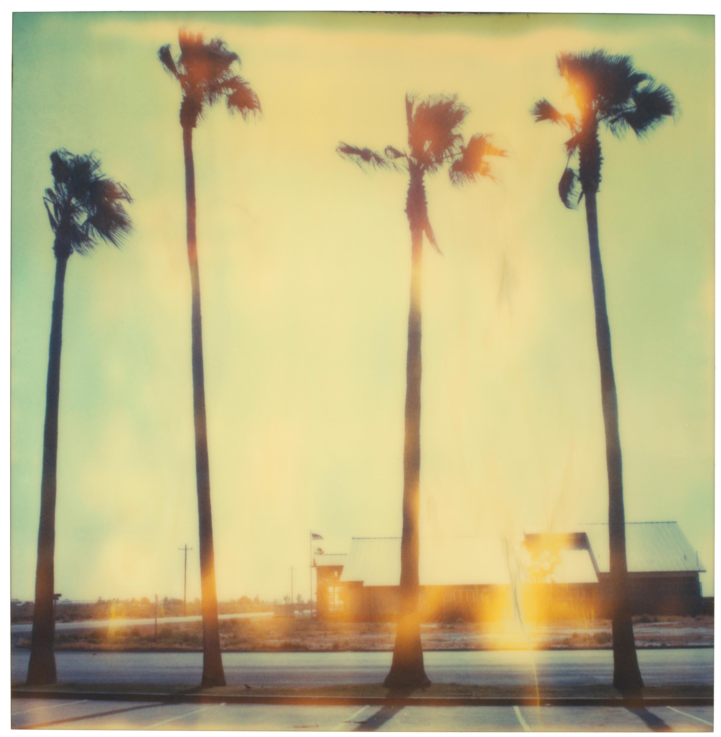 Stefanie Schneider Landscape Photograph - Palm Tree Restaurant (Stranger Than Paradise) - Polaroid