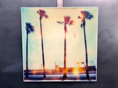 Palm Tree Resturant