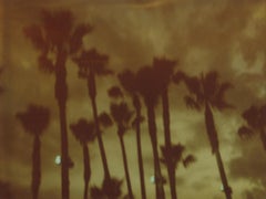 Palm Trees at Night (Stranger than Paradise) - analog