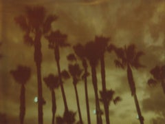 Retro Palm Trees at Night (Stranger than Paradise) - Polaroid, 21st Century, Color