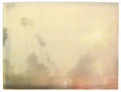 Palm Trees in the Rain (Stranger than Paradise) - Polaroid, 21st Century, Color