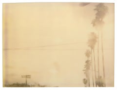 Palm Trees in the Rain (Stranger than Paradise) - Polaroid, 21st Century, Color