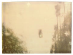 Palmiers sous la pluie (Stranger than Paradise) - Polaroid, 21e siècle, Couleur