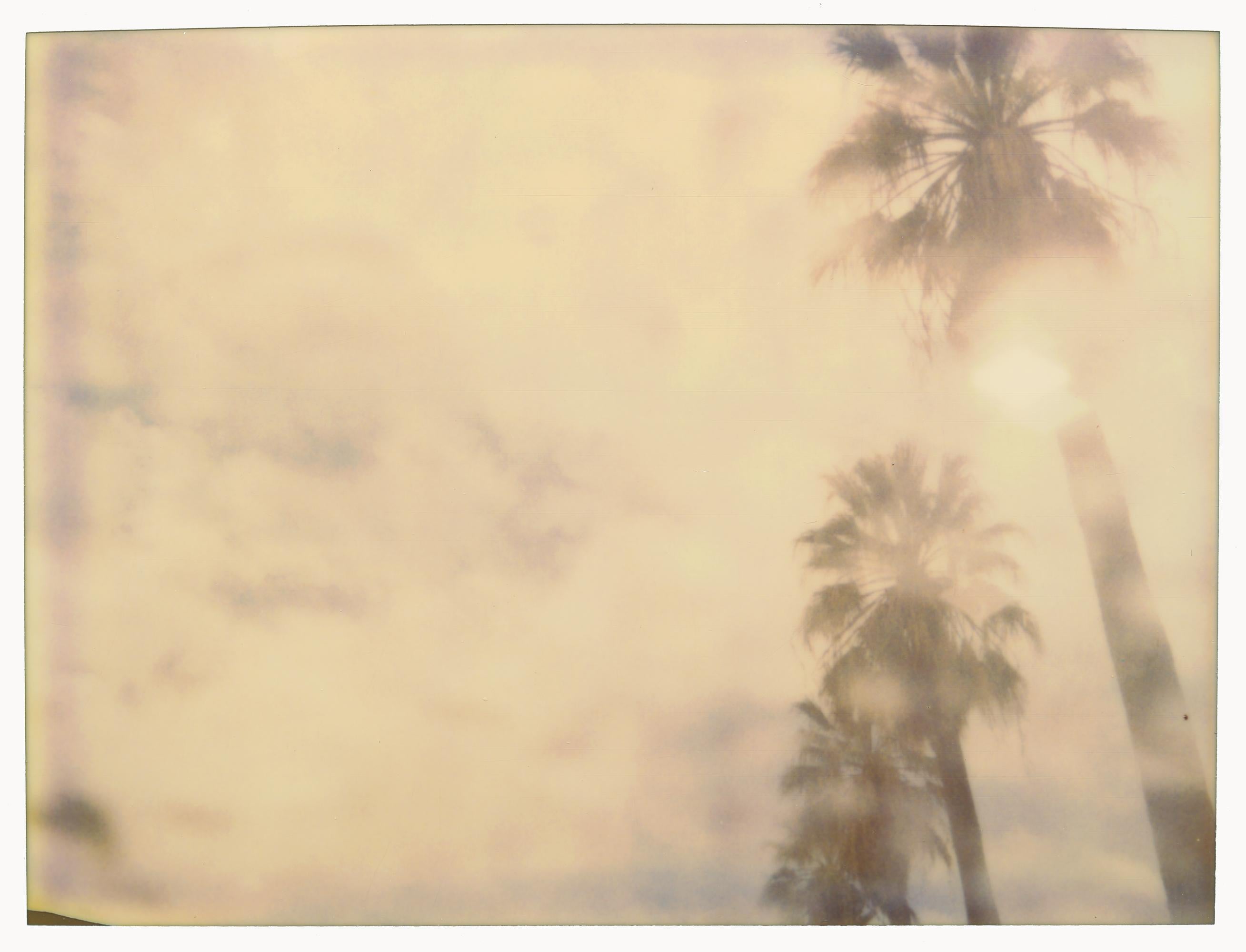 Stefanie Schneider Color Photograph - Palm Trees in the Rain (Stranger than Paradise) - Polaroid, 21st Century, Color