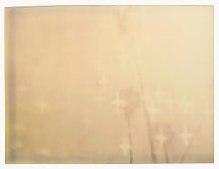 Palmen im Regenbogen (Fresser als das Paradies) – Polaroid, 21. Jahrhundert, Farbe