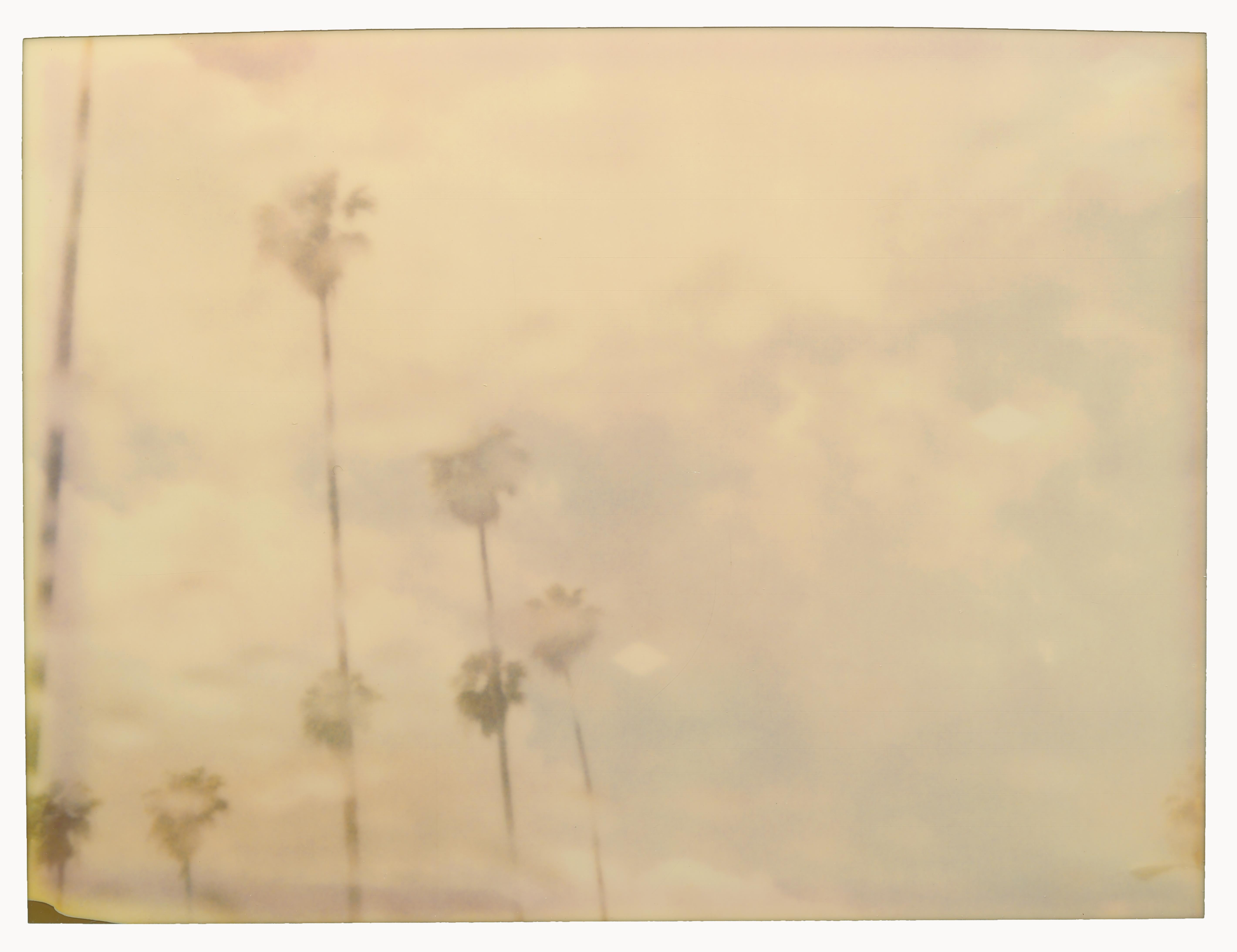 Stefanie Schneider Landscape Photograph - Palm Trees in the Rain (Stranger than Paradise) - Polaroid, 21st Century, Color