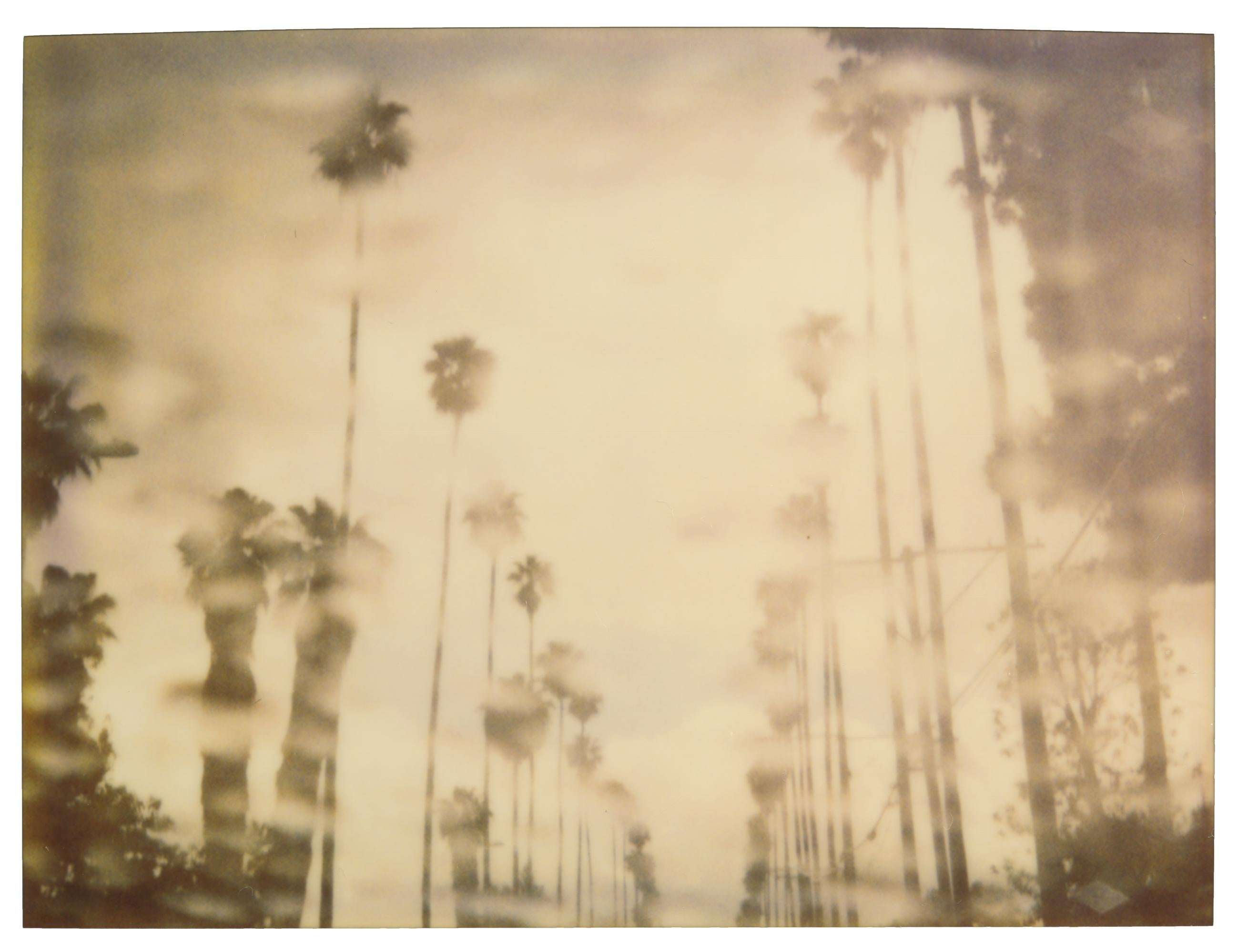 Stefanie Schneider Landscape Photograph – Palmen im Regenbogen (Fresser als das Paradies) – Polaroid, 21. Jahrhundert, Farbe