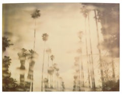 Palmiers sous la pluie (Stranger than Paradise) - Polaroid, 21e siècle, Couleur