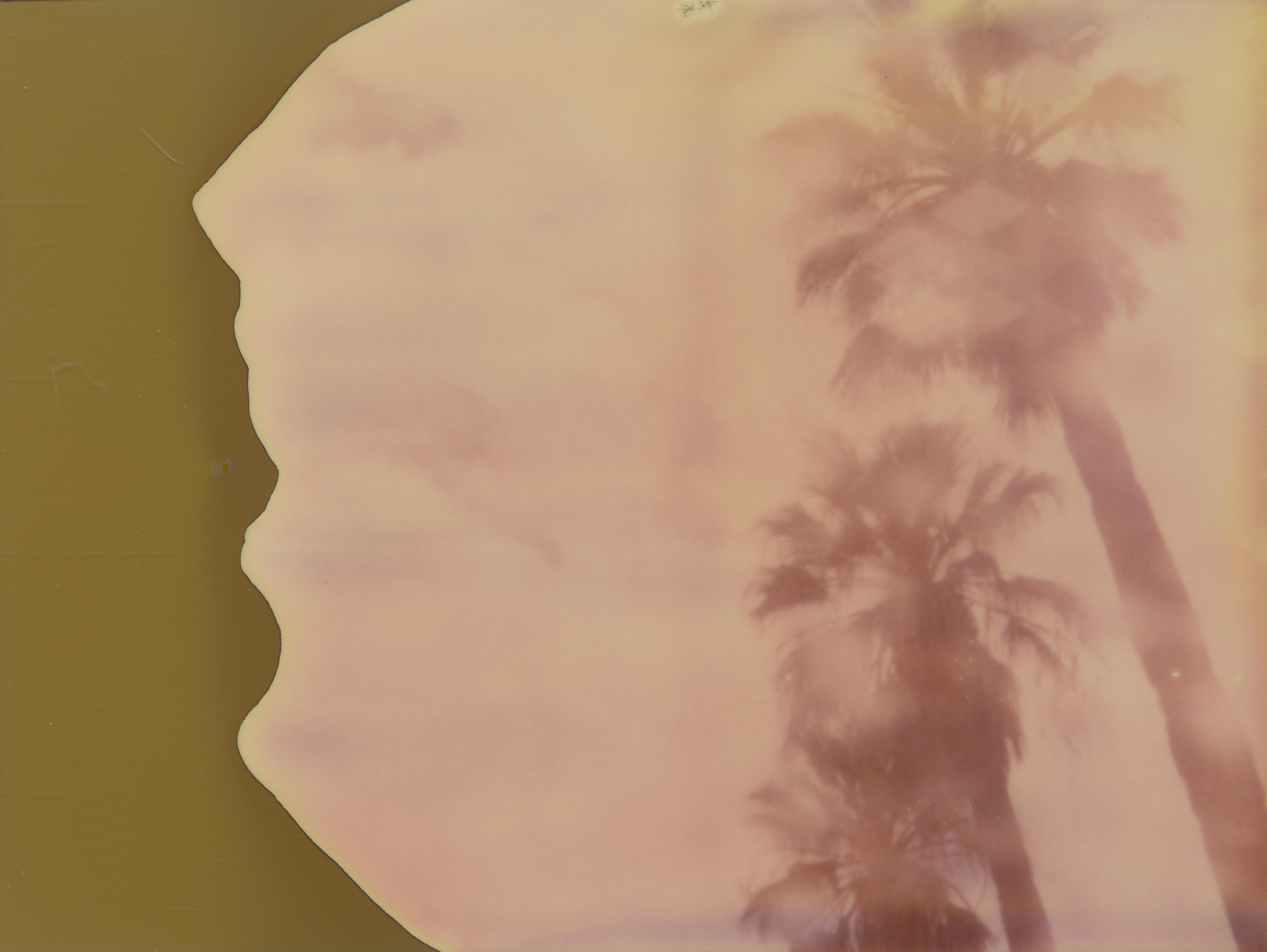 Stefanie Schneider Color Photograph – Palmen im Regenbogen (Fresser als das Paradies) – Polaroid, 21. Jahrhundert, Farbe