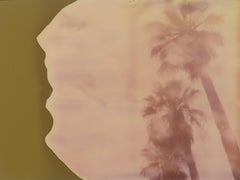 Palm Trees in the Rain (Stranger than Paradise) - Polaroid, 21st Century, Color