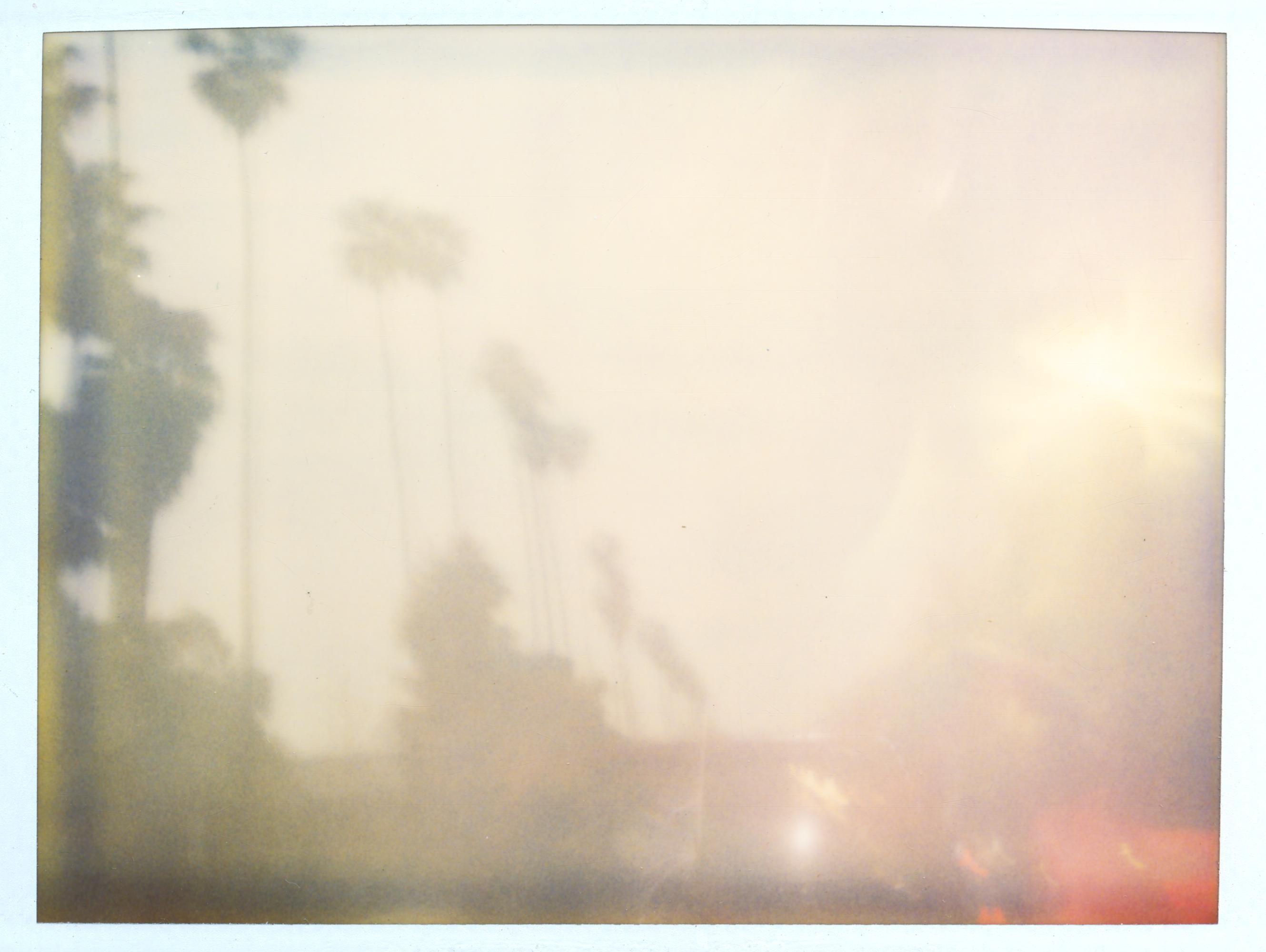 Stefanie Schneider Landscape Photograph - Palm Trees in the Rain (Stranger than Paradise) - Polaroid, 21st Century, Color