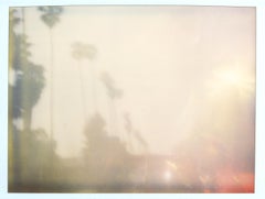 Palm Trees in the Rain (Stranger than Paradise) - Polaroid, 21st Century, Color
