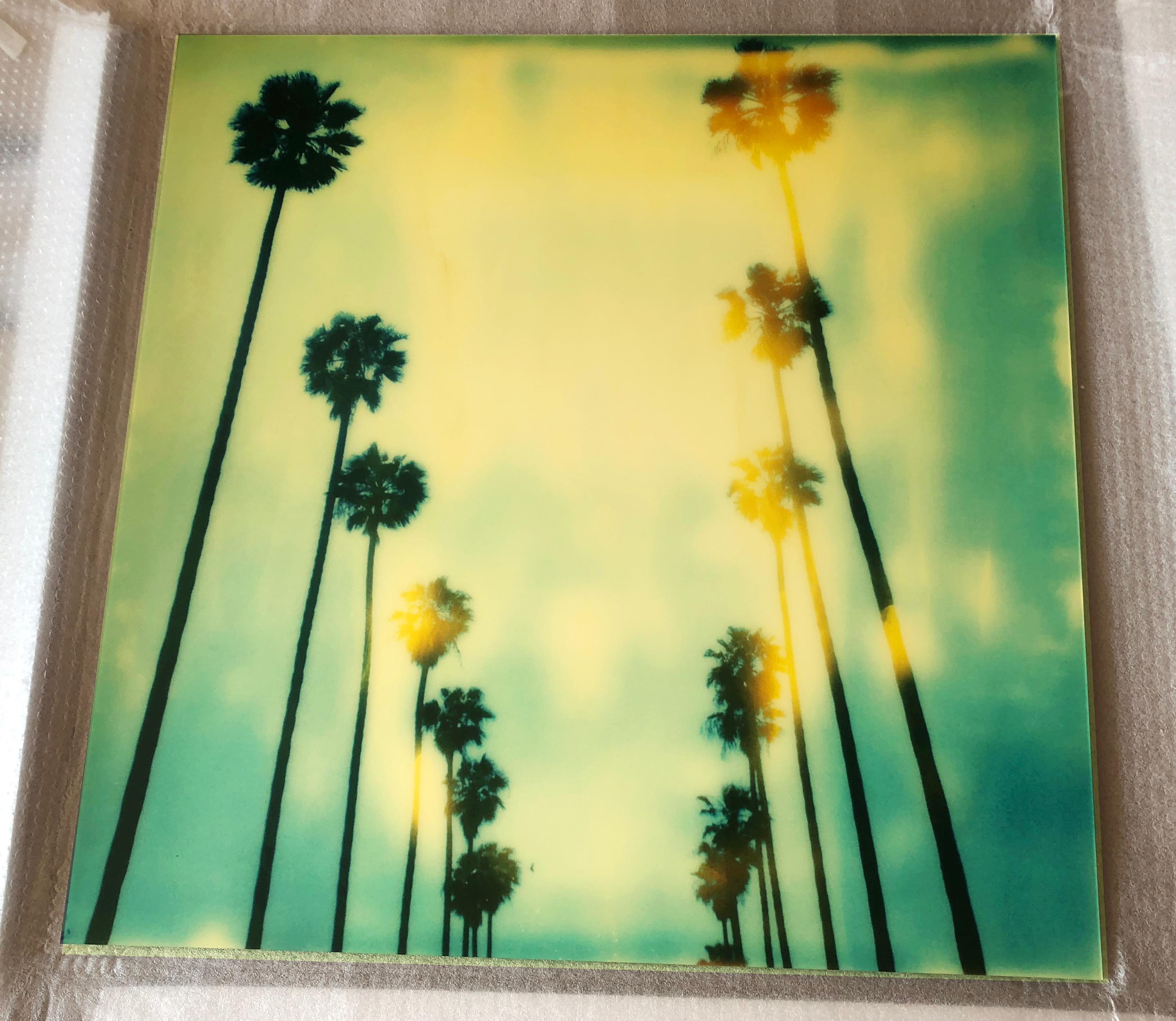 Palmen auf Wilcox –  Contemporary, Polaroid, montiert unter Plexiglas – Photograph von Stefanie Schneider