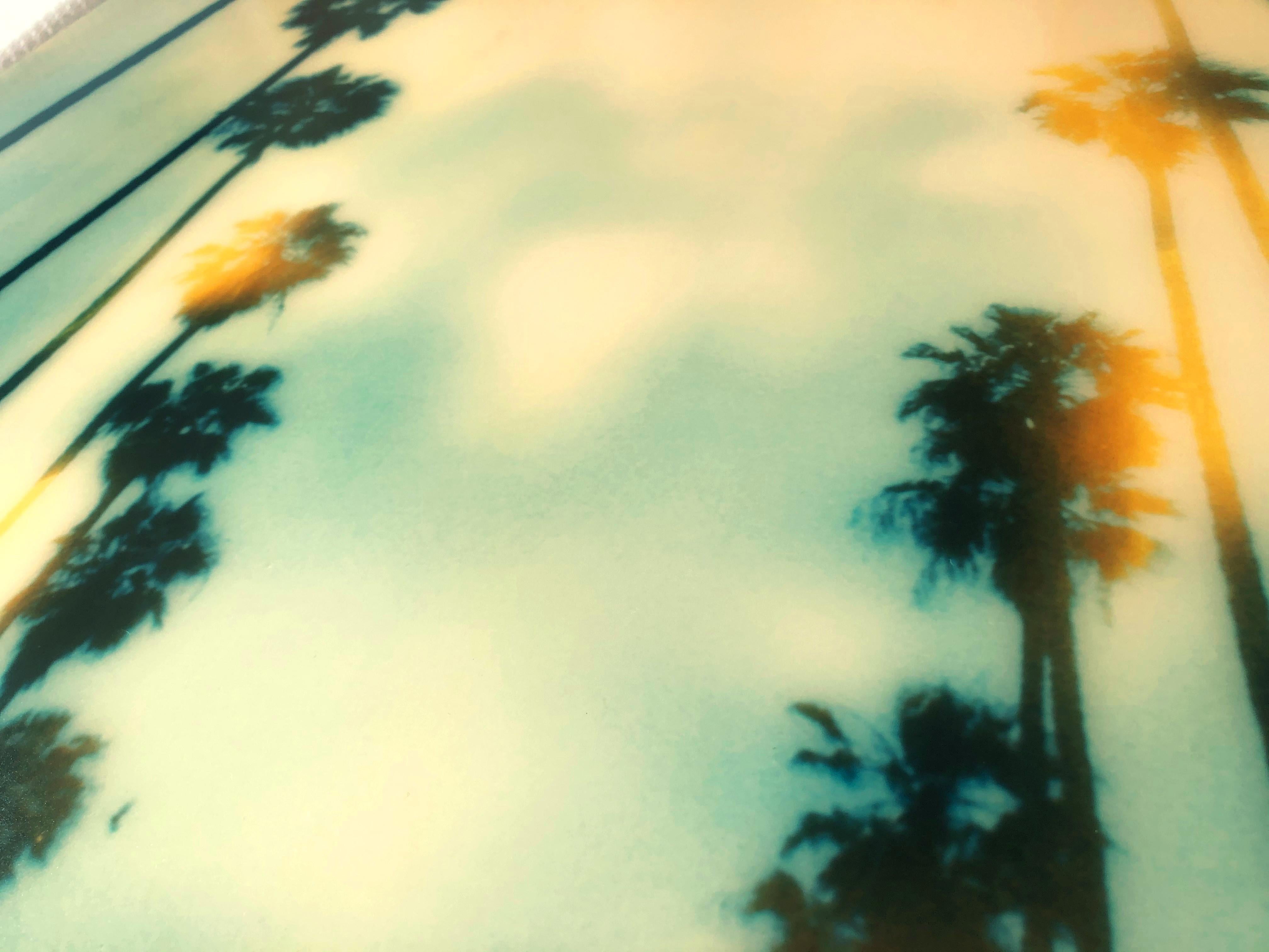 Palm Trees on Wilcox -  Contemporary, Polaroid, mounted under Plexi For Sale 1