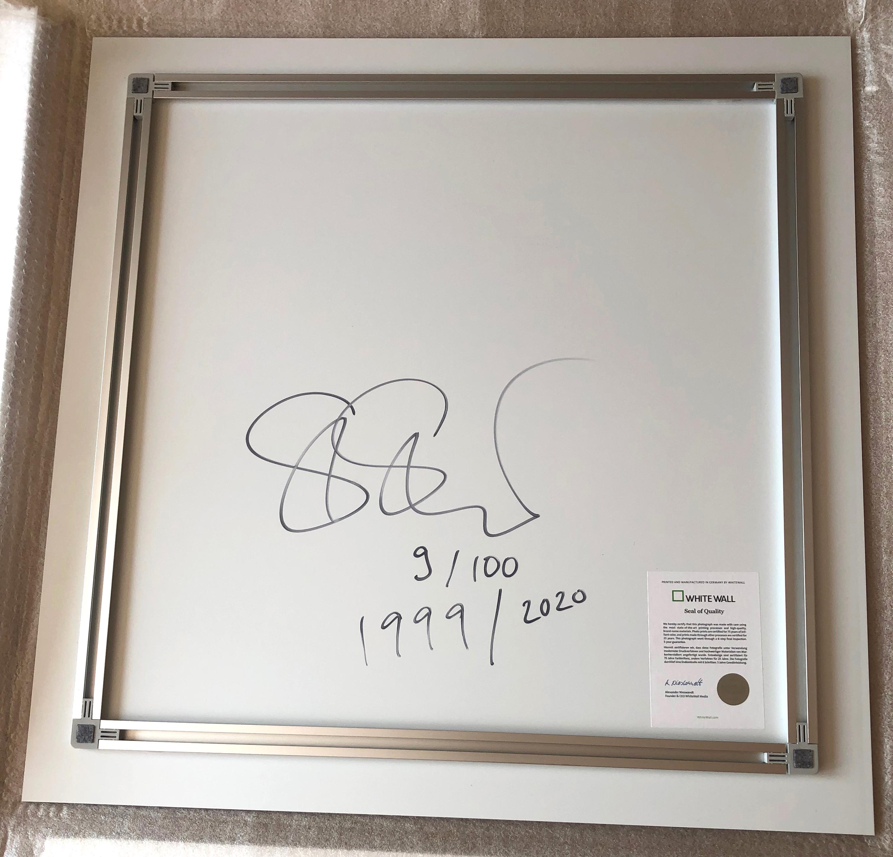 Palmen auf Wilcox –  Contemporary, Polaroid, montiert unter Plexiglas im Angebot 1
