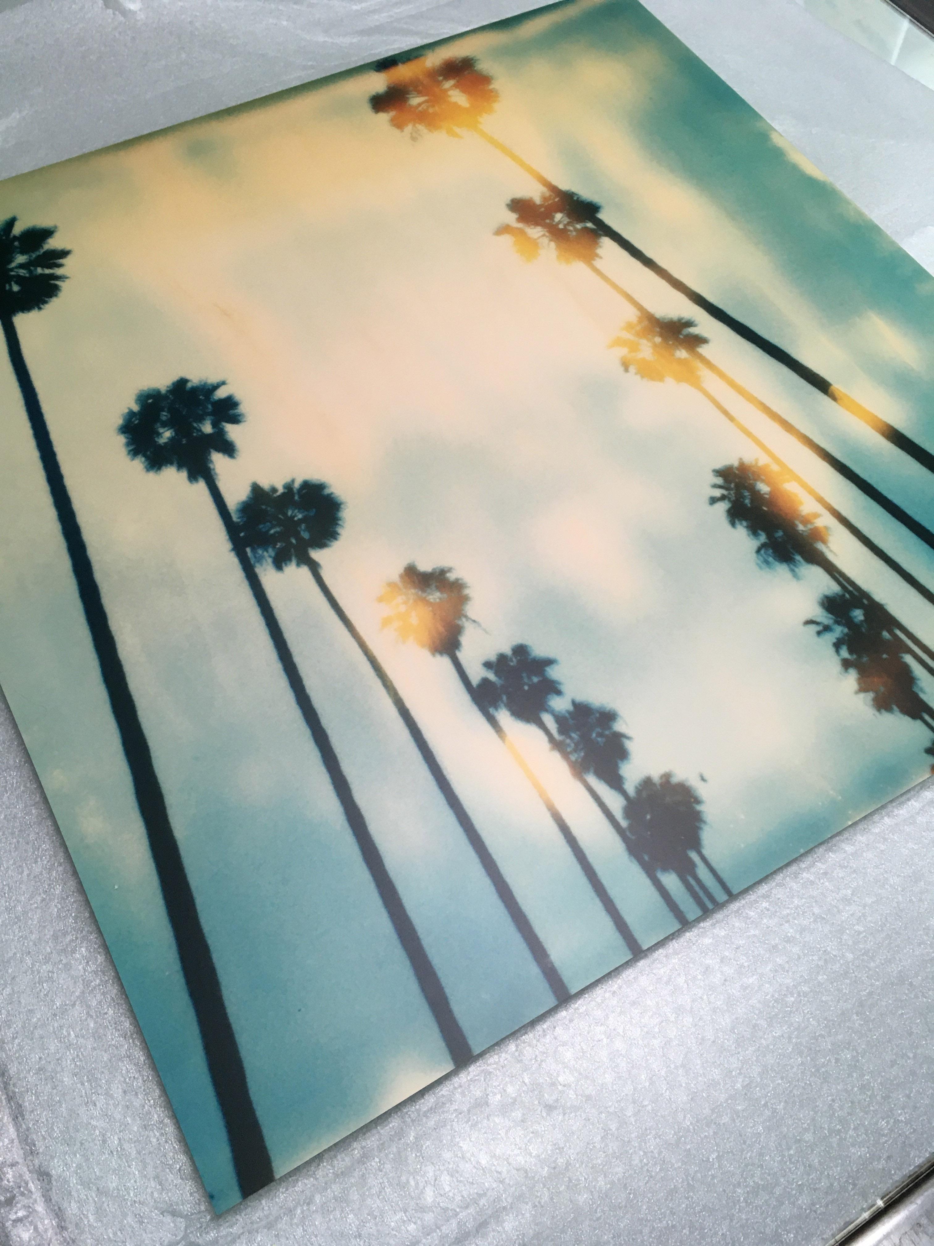 Palm Trees on Wilcox -  mounted on Dibond - Contemporary, Polaroid, 20th Century - Green Color Photograph by Stefanie Schneider
