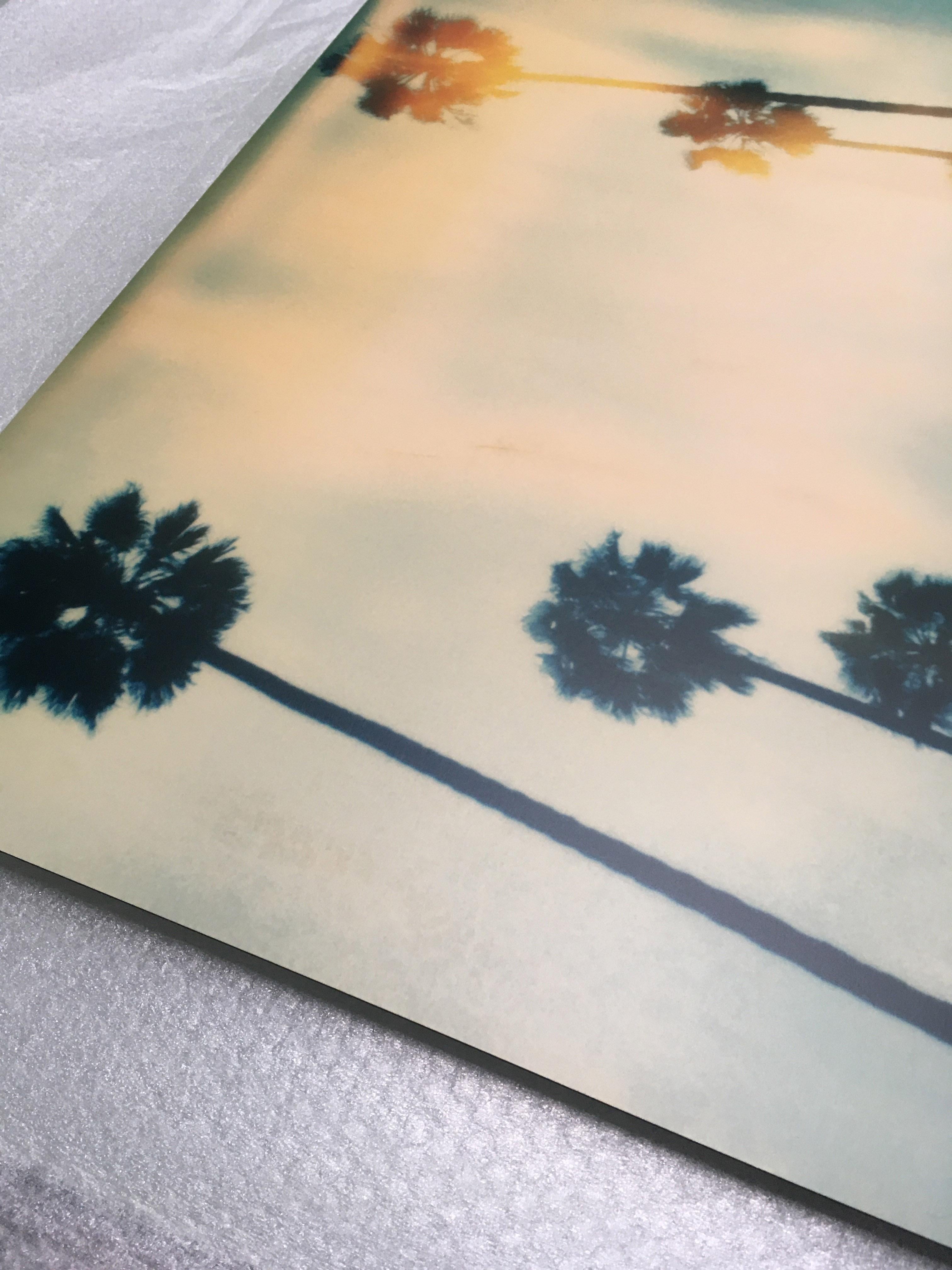 Palmiers sur Wilcox -  Monté sur Dibond - Contemporain, Polaroid, 20ème siècle en vente 1