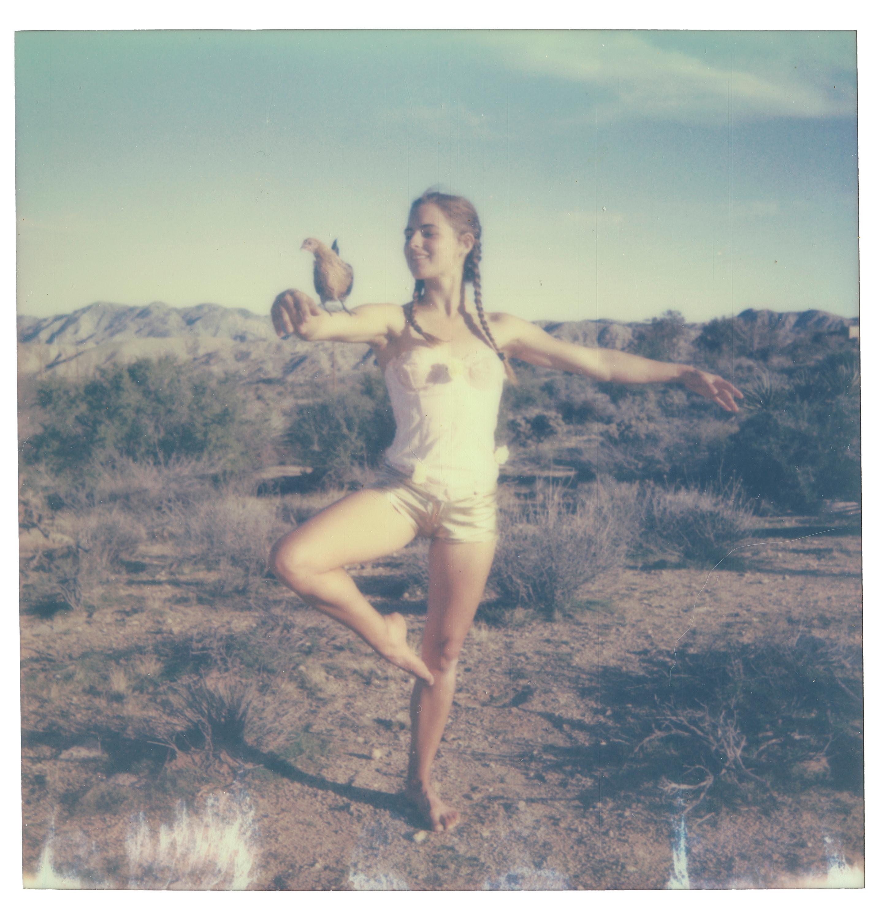 Portrait Photograph de Stefanie Schneider - Pas de deux (Pollos y gallinas y a veces gallos)
