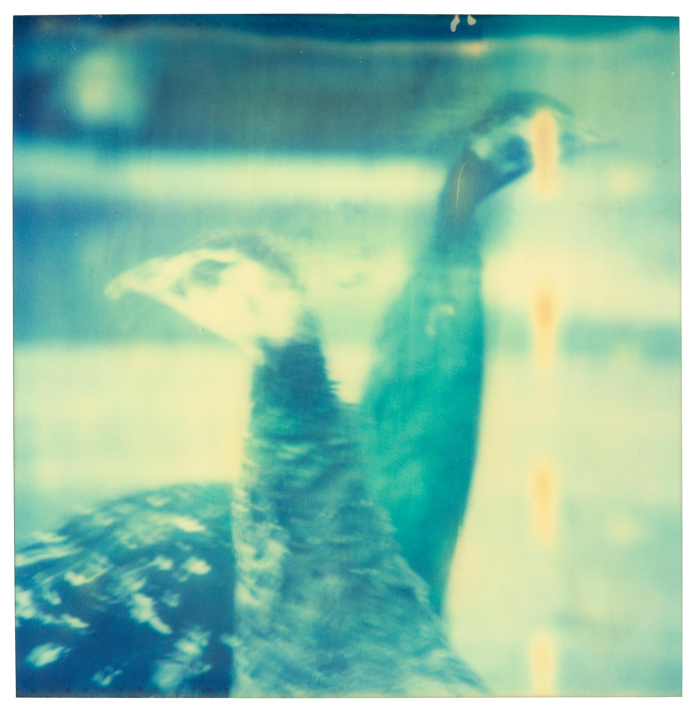 Stefanie Schneider Landscape Photograph - Peacocks in Love (Stay) - Polaroid, 21st Century