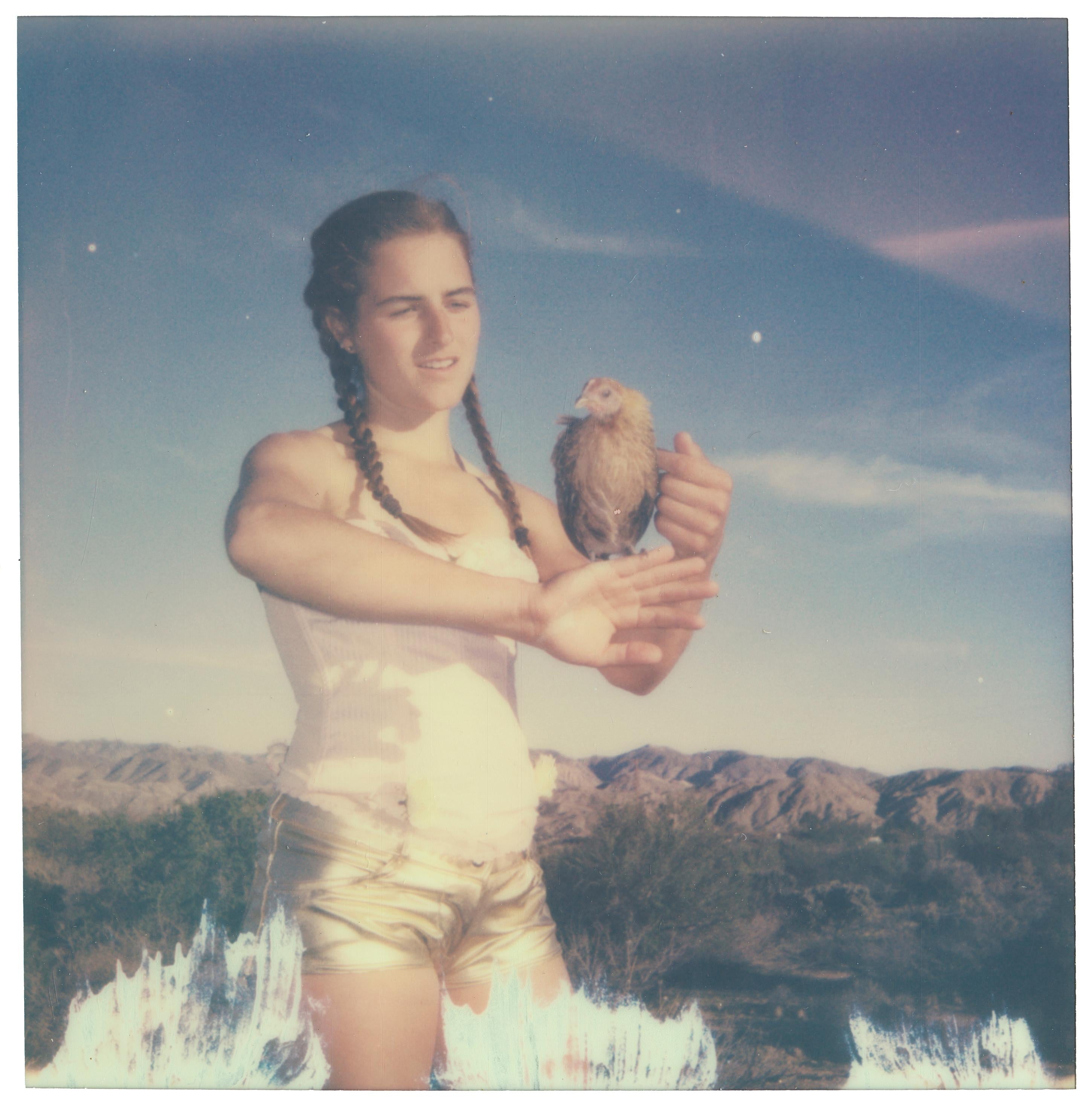 Color Photograph de Stefanie Schneider - Peanut y Jill (Pollitos y Pollitas y a veces Pollos) - Polaroid