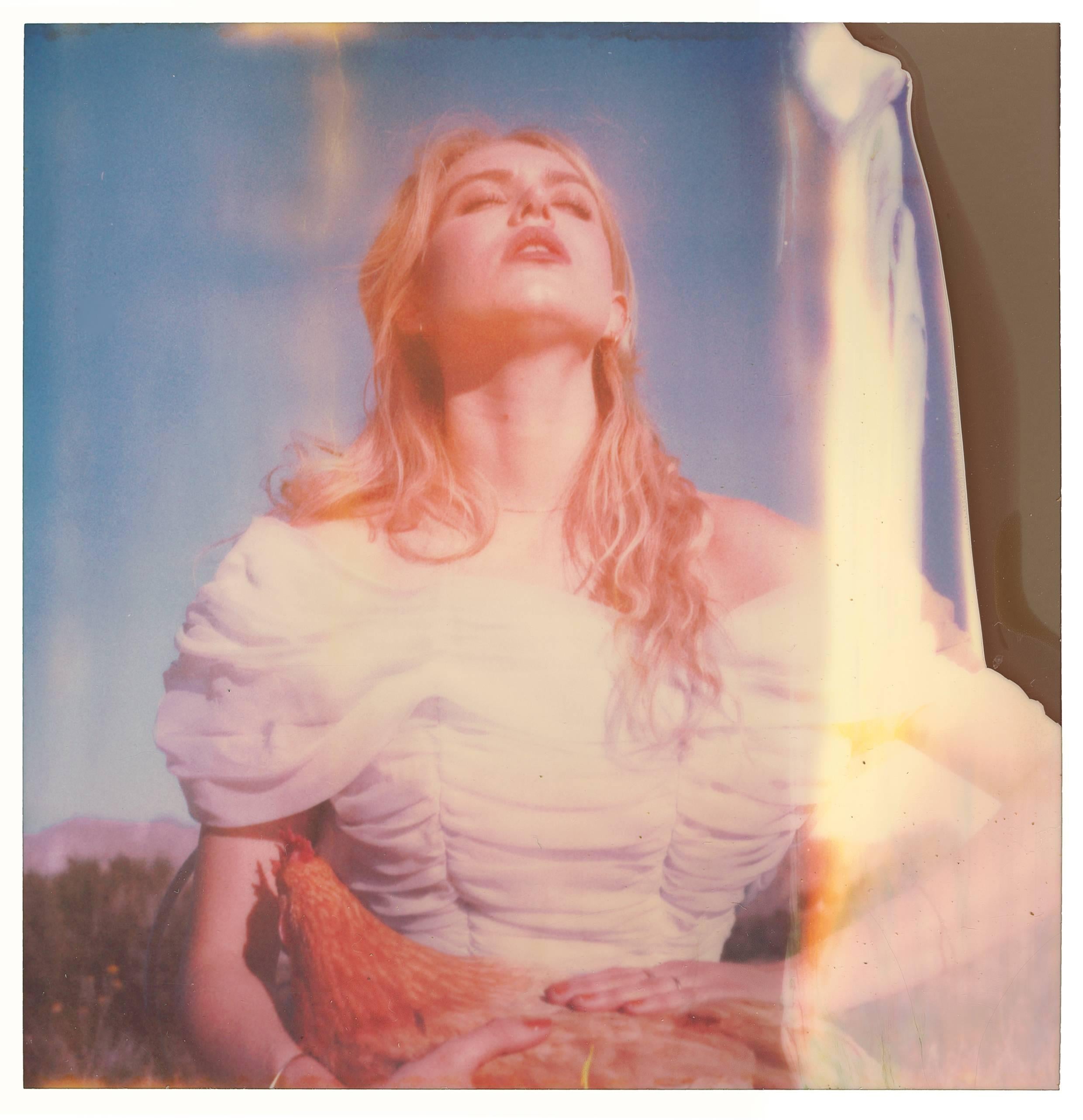 Stefanie Schneider Color Photograph – Penny und süßer Pfirsich