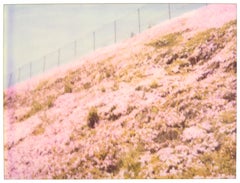 Pink Flower Carpet (Zuma Beach) - analog, Retro print