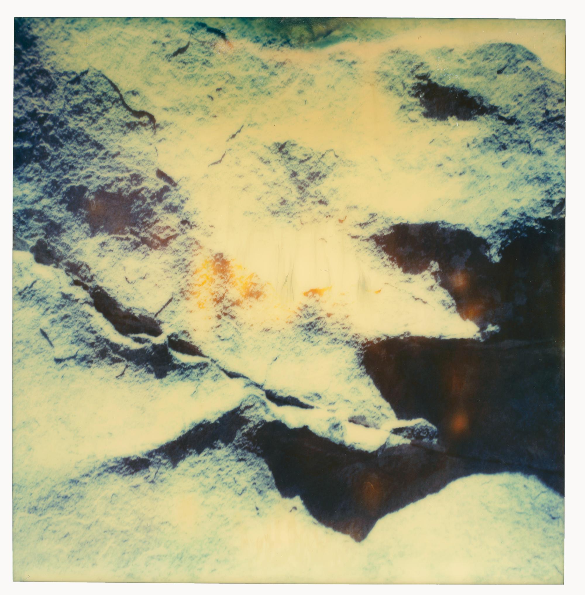 Planet of the Apes - 7 pieces complete Series - Polaroid, Color - Contemporary Photograph by Stefanie Schneider