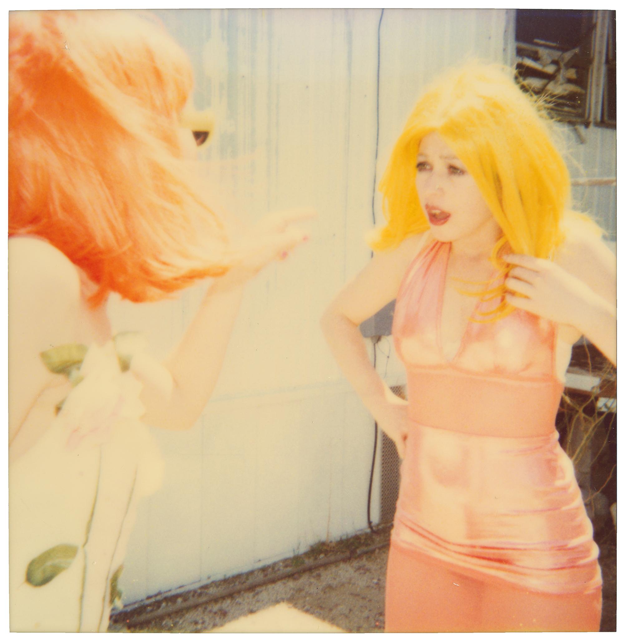 Stefanie Schneider Color Photograph - Catfight (29 Palms, CA) - Polaroid, Contemporary, 20th Century