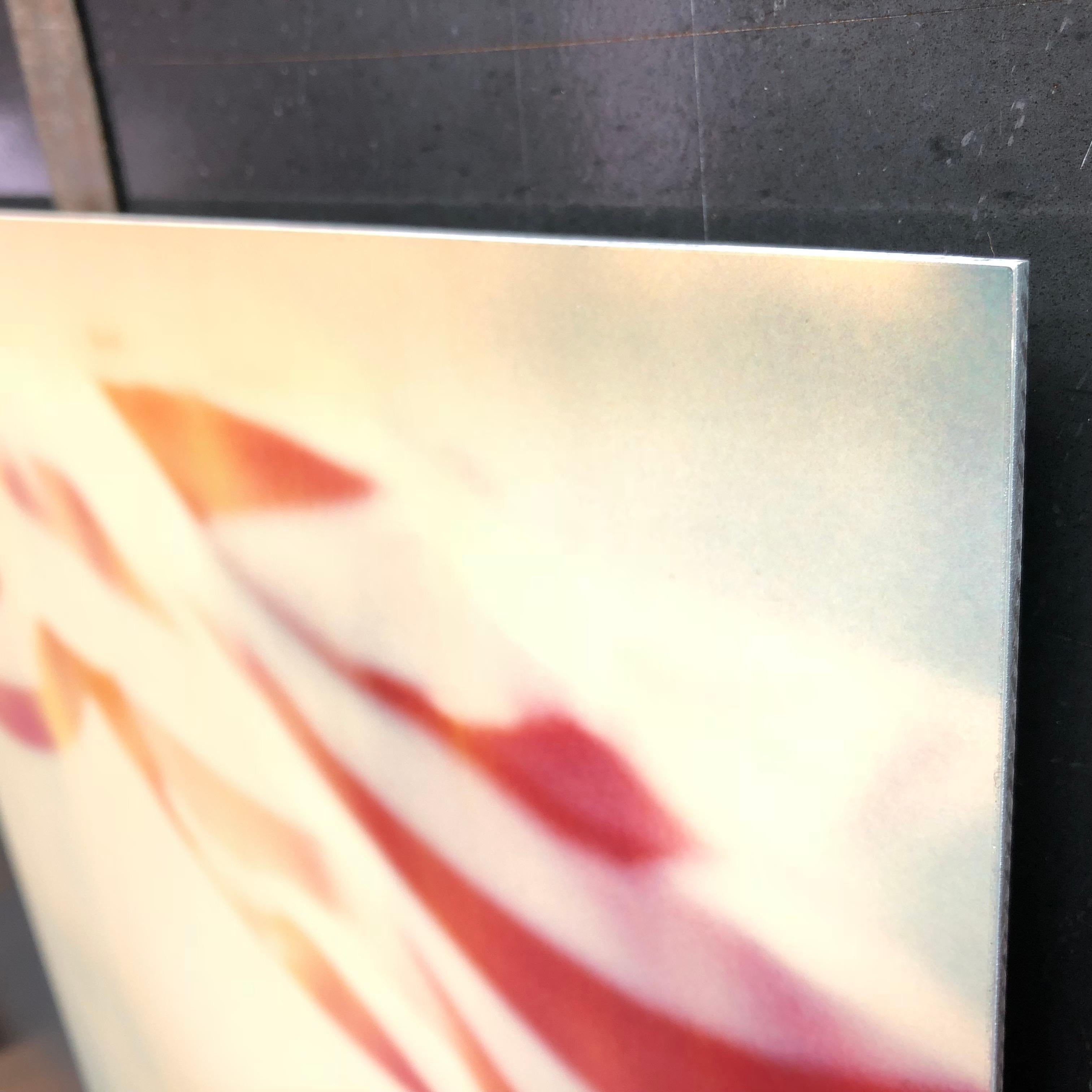 Colores primarios - Contemporáneo, Abstracto, Paisaje, EE.UU., Polaroid, Bandera en venta 8