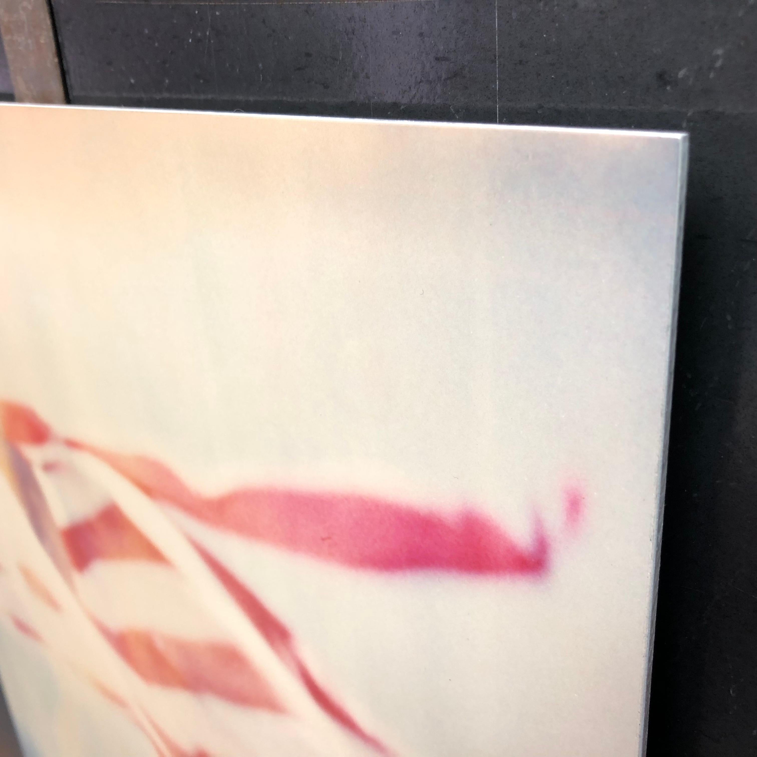 Colores primarios - Contemporáneo, Abstracto, Paisaje, EE.UU., Polaroid, Bandera en venta 9
