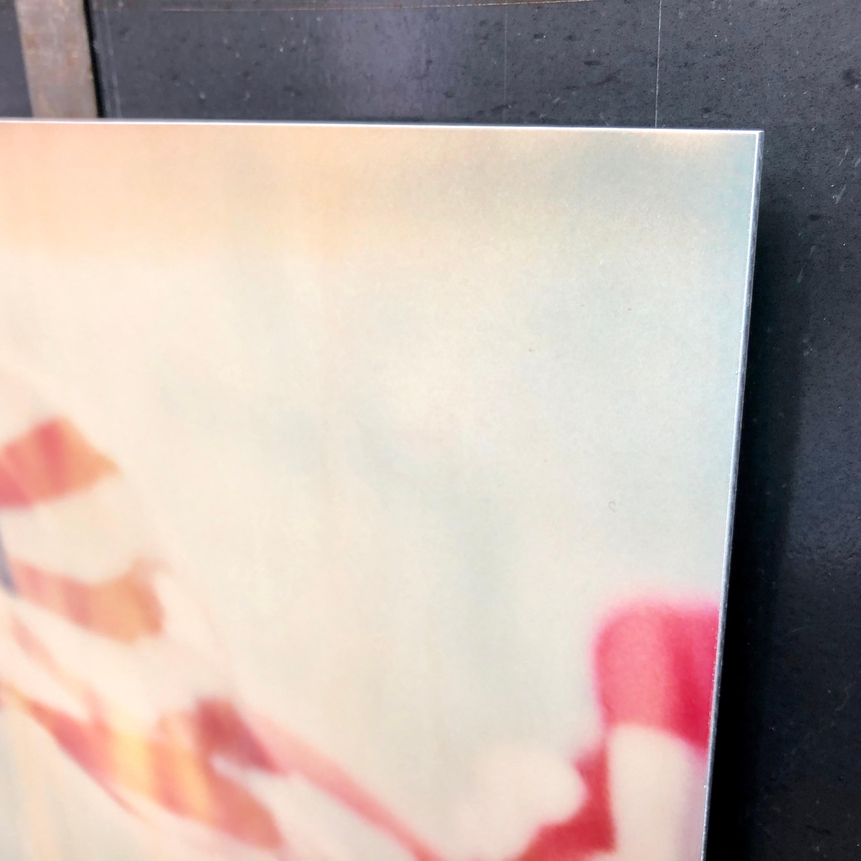 Primärfarben - Contemporary, Abstrakt, Landschaft, USA, Polaroid, Flagge im Angebot 11
