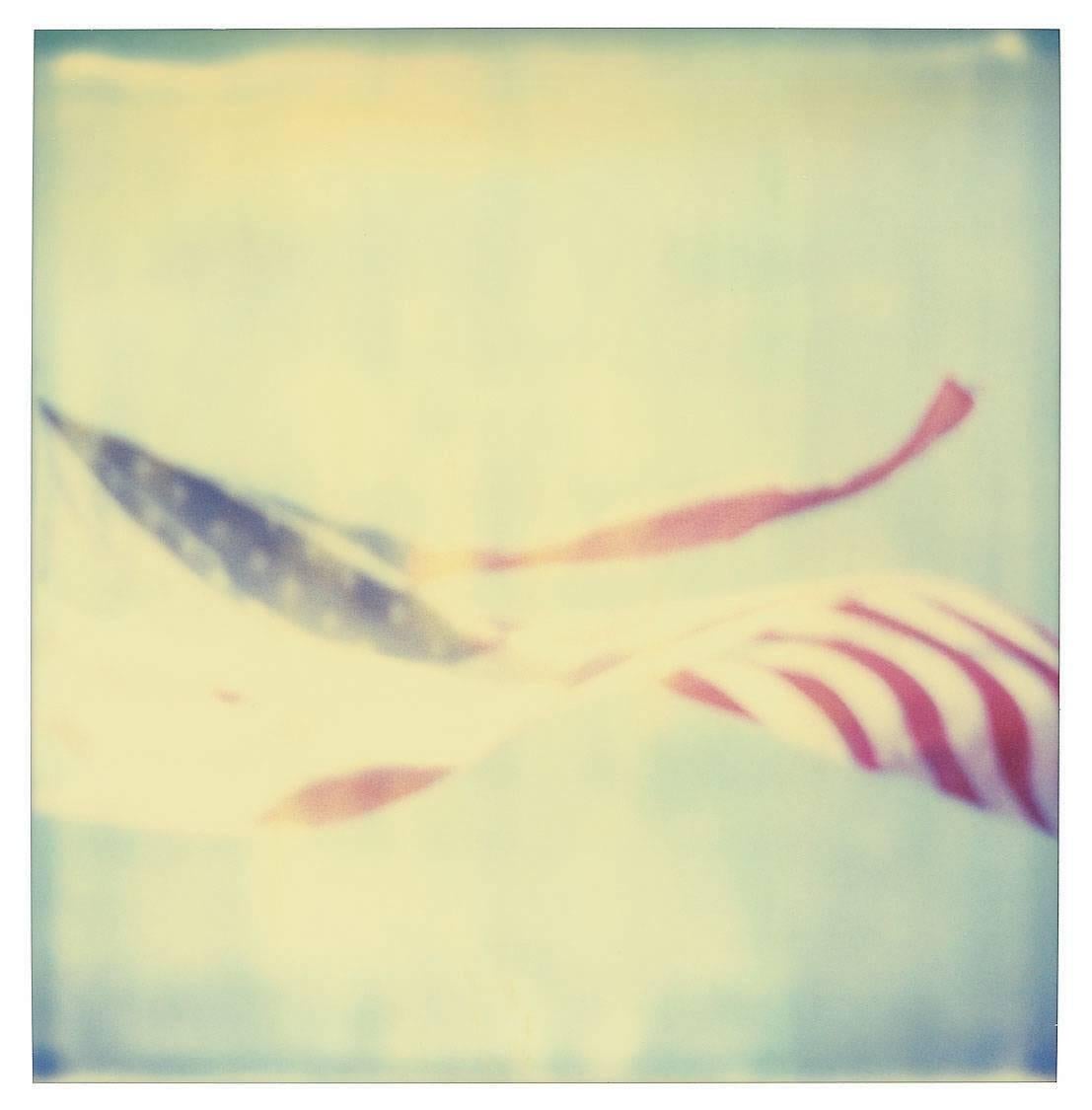 Primary Colors - Contemporary, Figurative, Icons, Polaroid, Photograph, expired 5