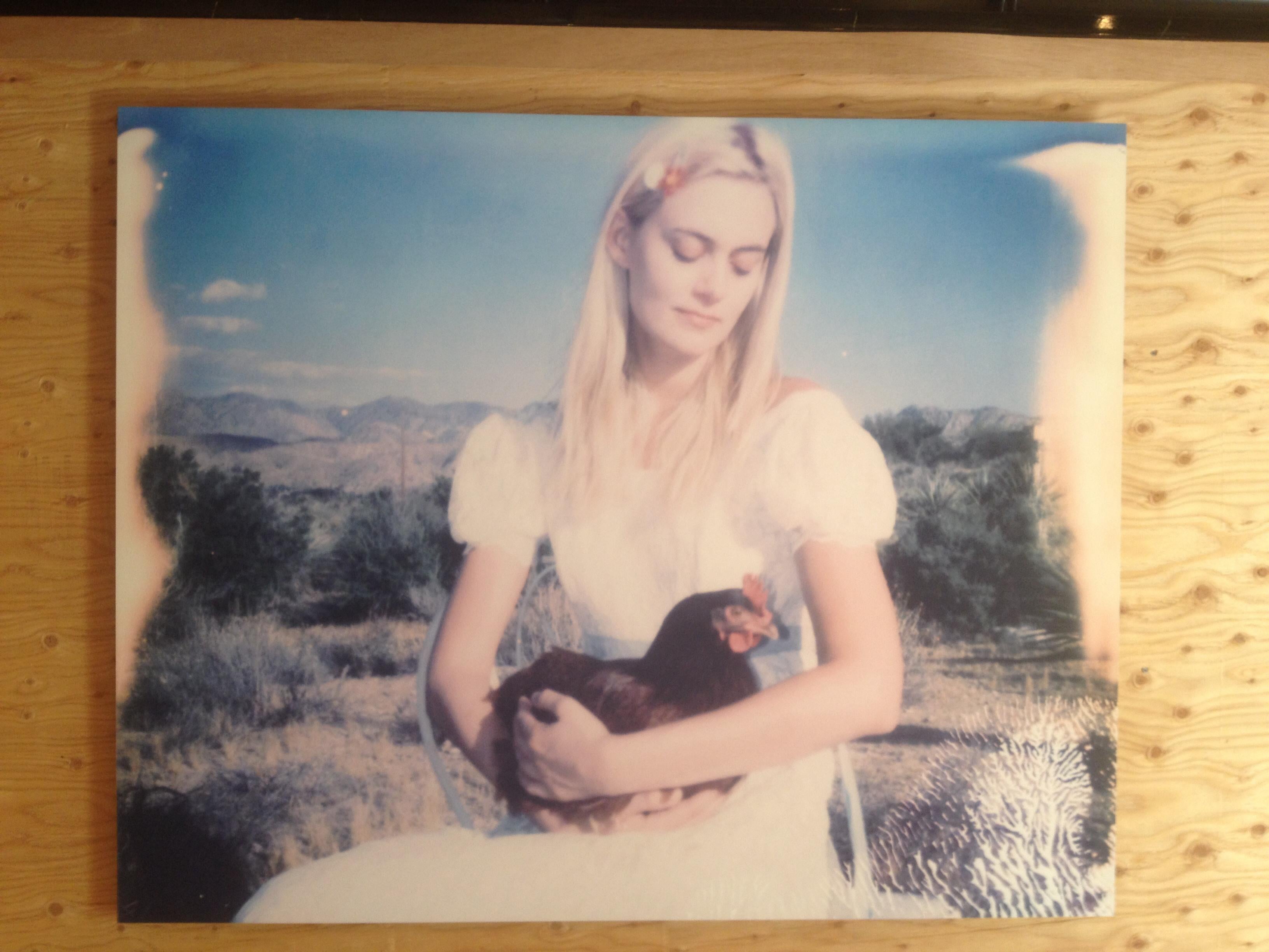 'Prince Cuckoo's Indian Dream' - 2017
(Chicks and Chicks and sometimes Cocks)

Edition of 10, 
20x24cm, 
archival C-Print, based on a Polaroid. 
Artist inventory 20022. 
Not mounted. 

Bombay Beach Biennale 2018, permanent Installation
See