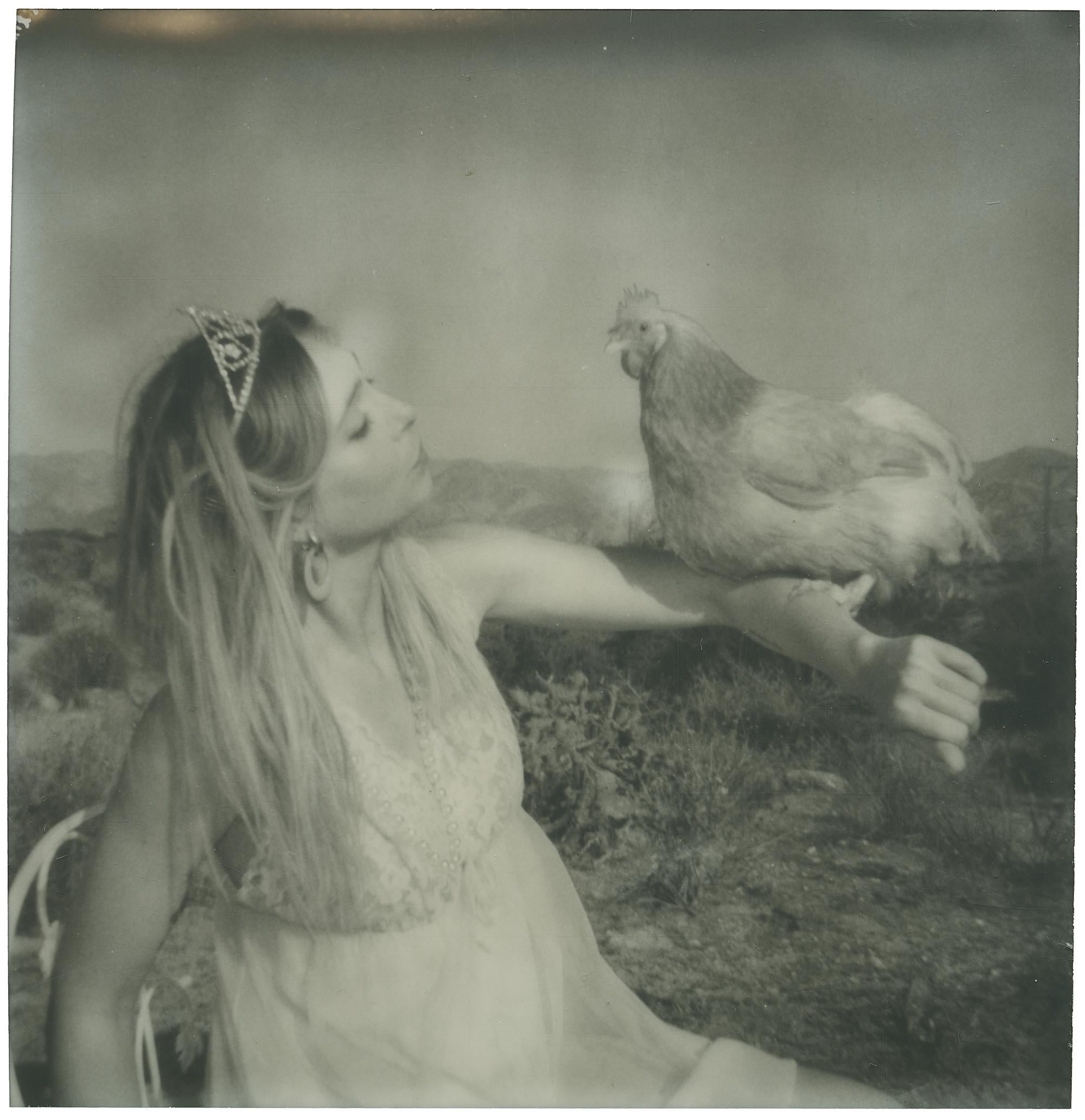 Stefanie Schneider Figurative Photograph – Prinzessin Kissen (Chicks and Chicks and sometimes Cocks)