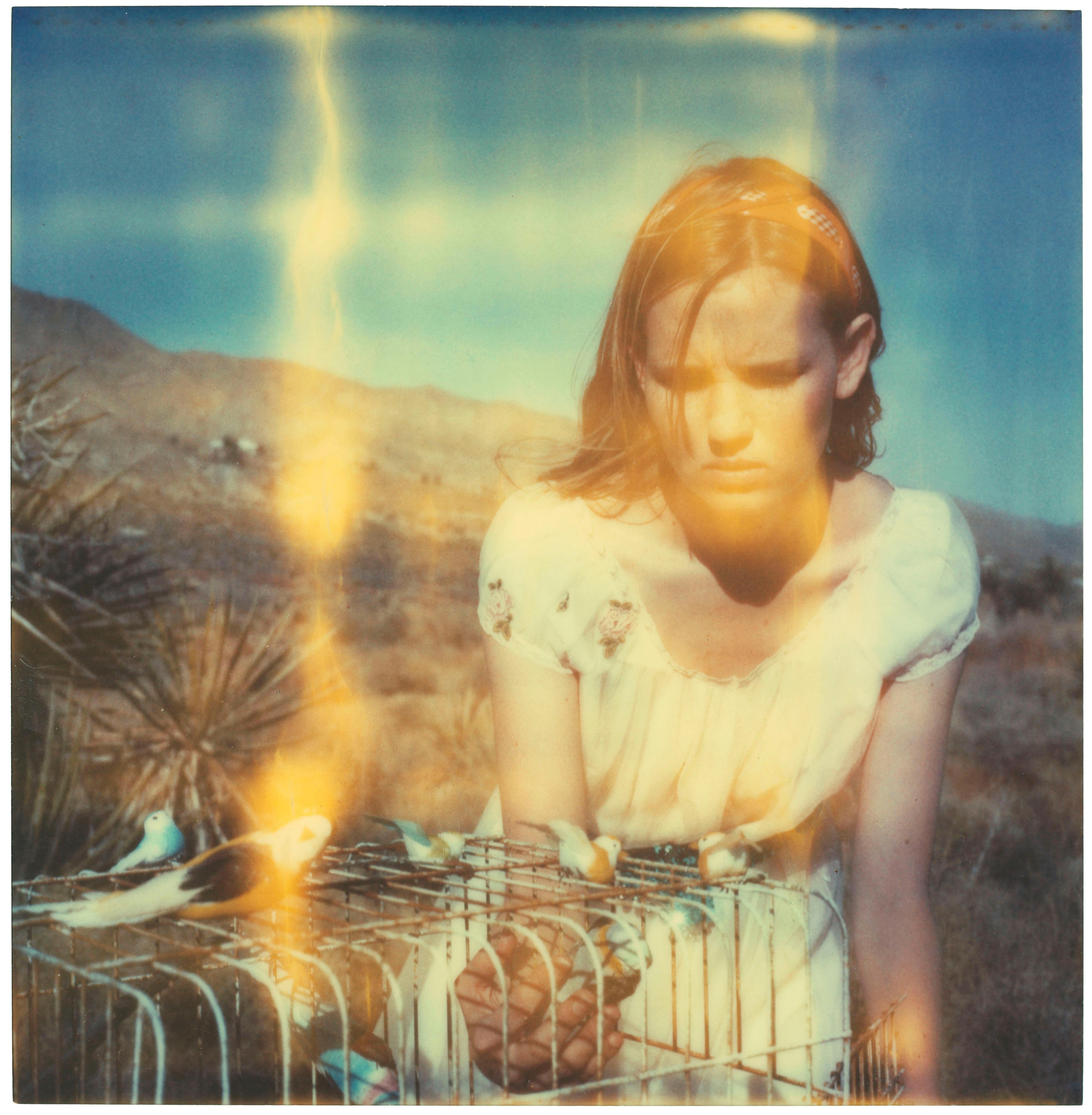 Provident (Haley and the Birds)